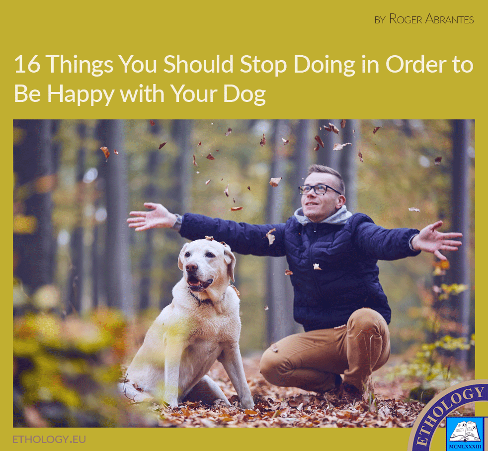 16 Things You Should Stop Doing in Order to Be Happy with Your Dog
