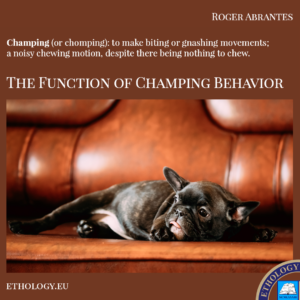 The Function of Champing Behavior