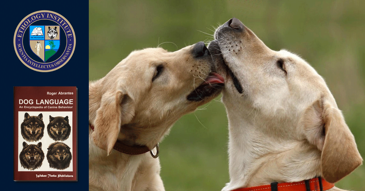 CanineBehaviorCourse