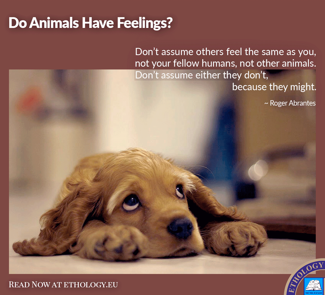 Do Animals Have Feelings?
