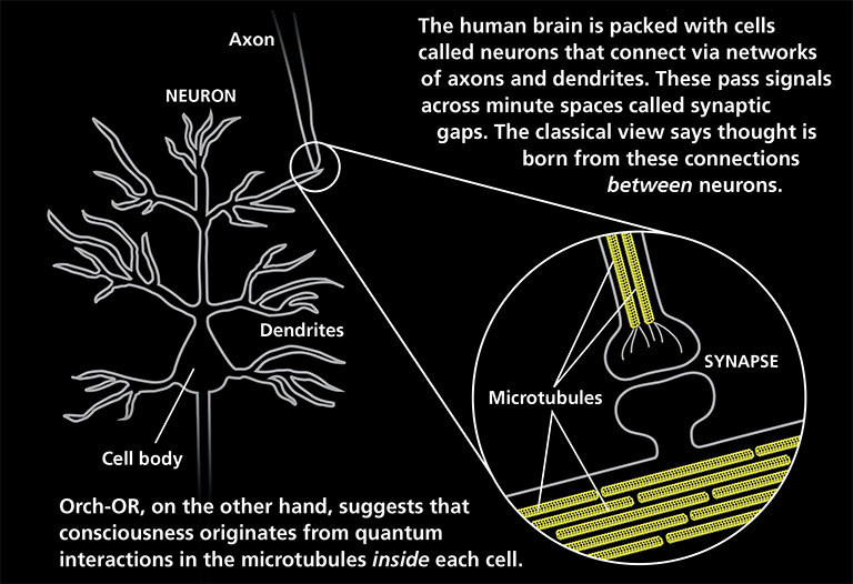 Orch OR Consciousness