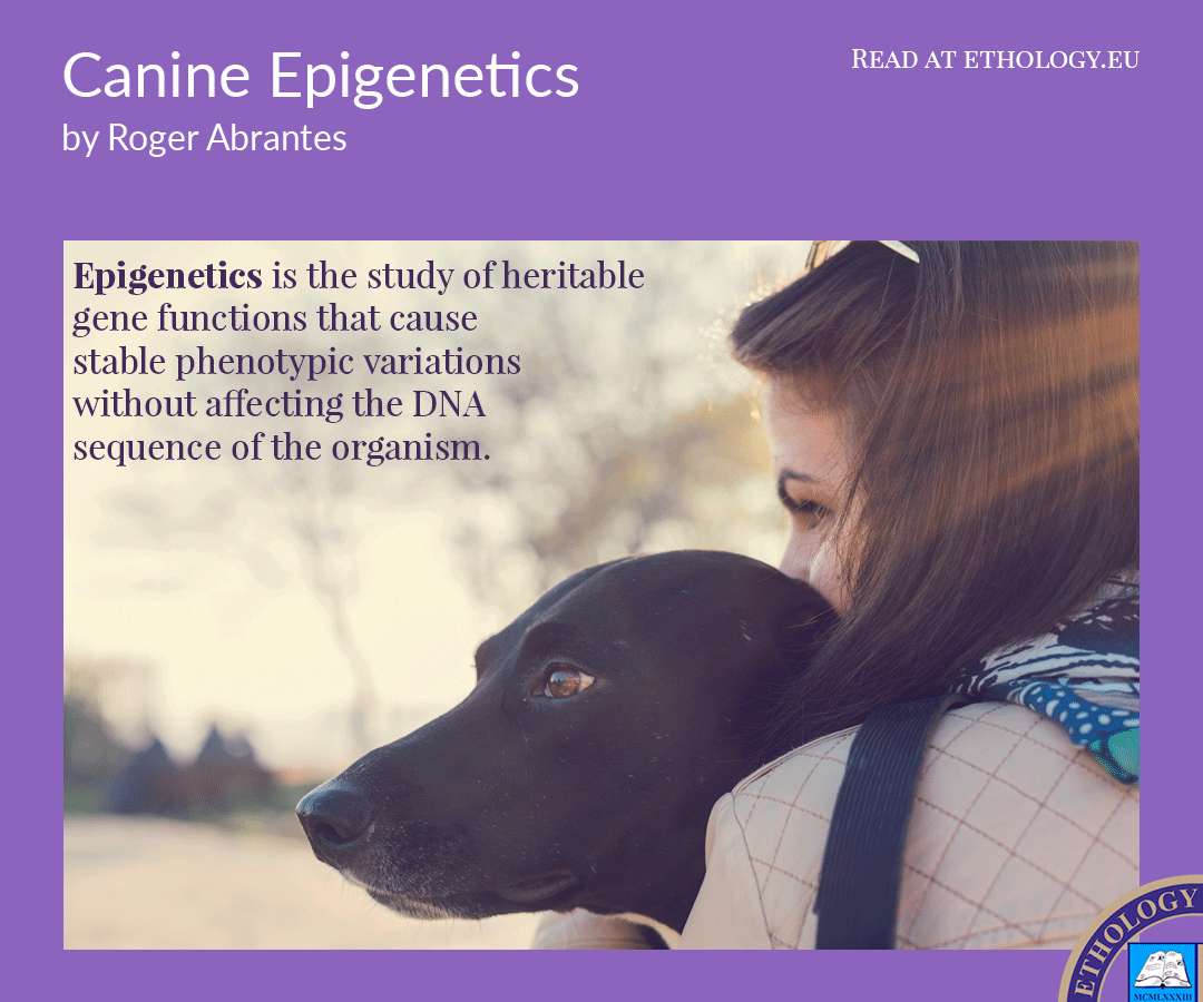 Canine-Epigenetics