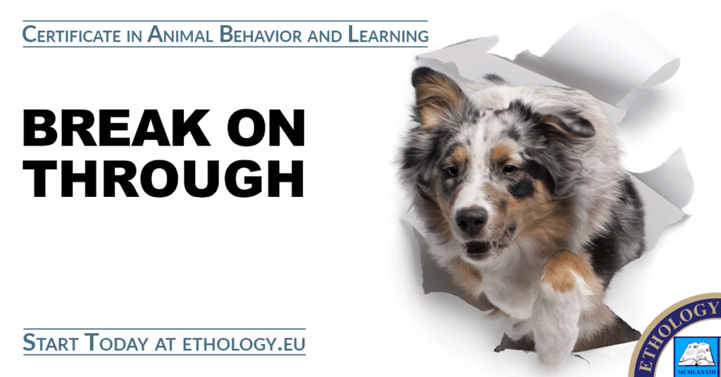 Certificate in Animal Behavior and Learning