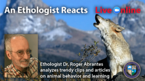 An Ethologist Reacts