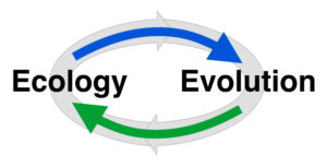 Ecology/Evolution